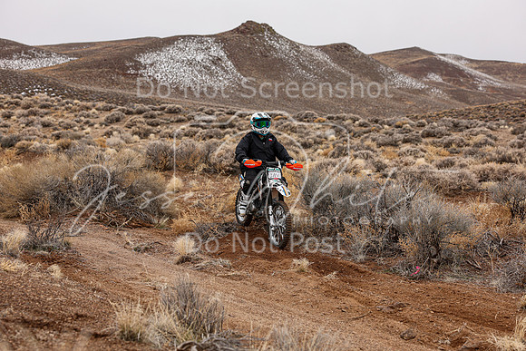 IMG_8696-311v