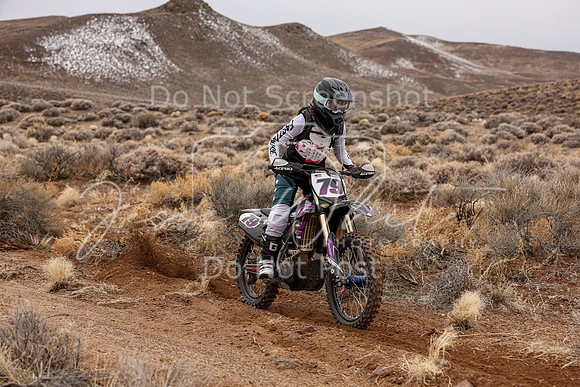 IMG_8767-79v