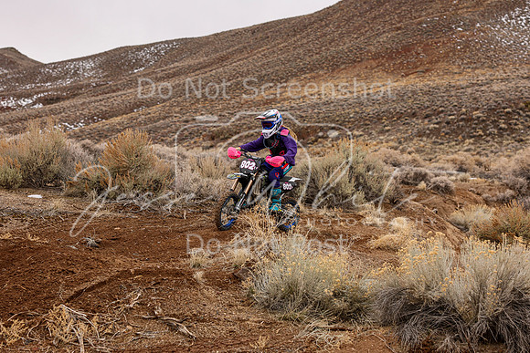 IMG_8950-802v