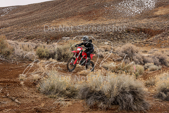 IMG_9091-124j