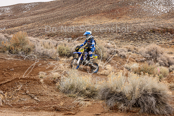 IMG_9224-411y