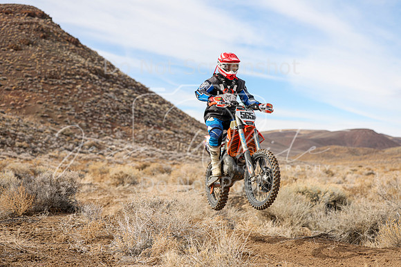 IMG_0113-565p