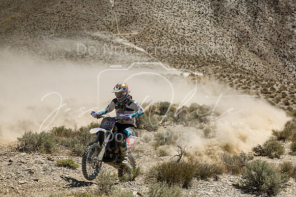 IMG_3017-x631