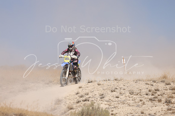 IMG_4053-723v