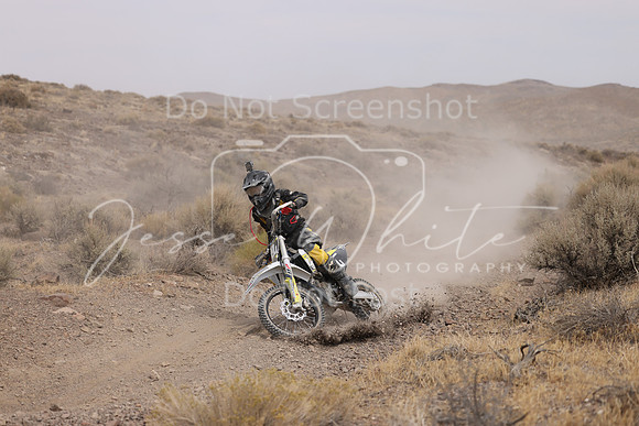 IMG_9149-99j