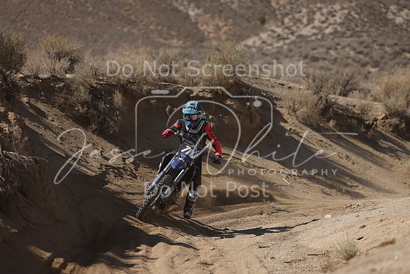 IMG_7196-710v