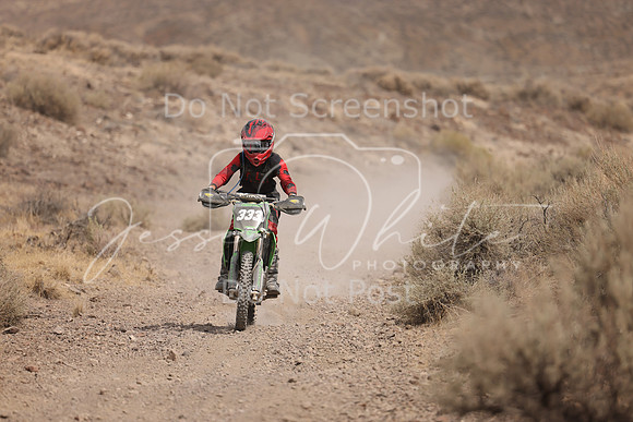 IMG_9292-333j