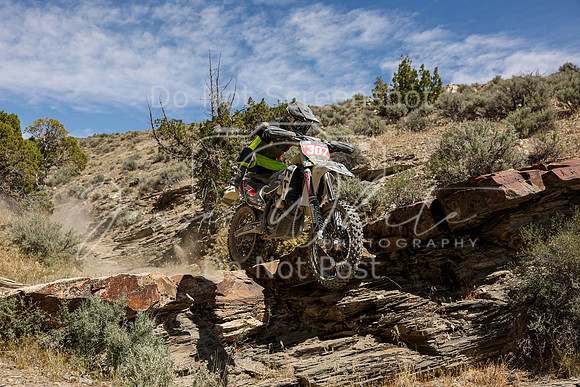 IMG_3902-x307
