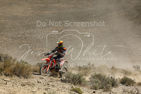 IMG_3316-nt818