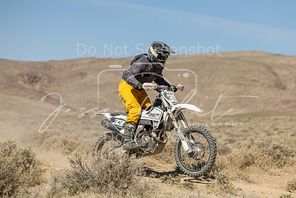 IMG_7972-33n