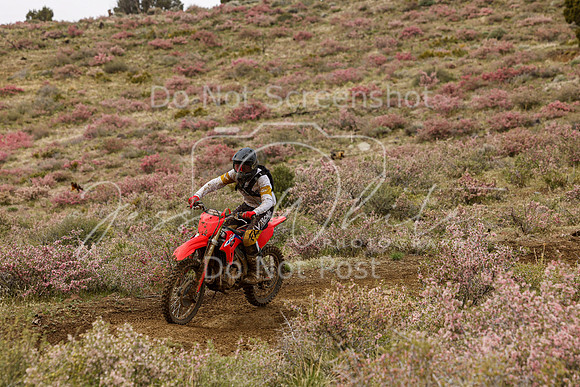 IMG_2347-