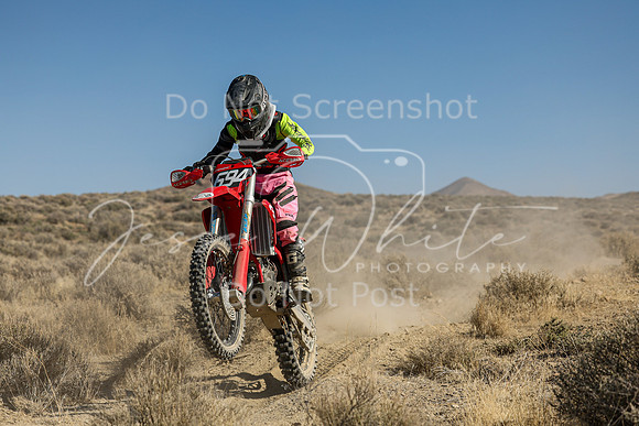 IMG_7812-694a