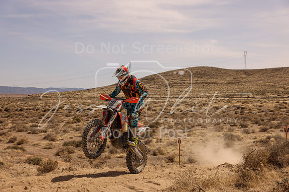 IMG_3715-311n