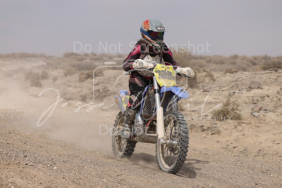 IMG_9606-723v