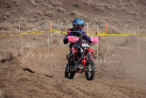 IMG_7087-802z