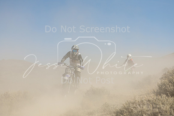 IMG_7584-454n