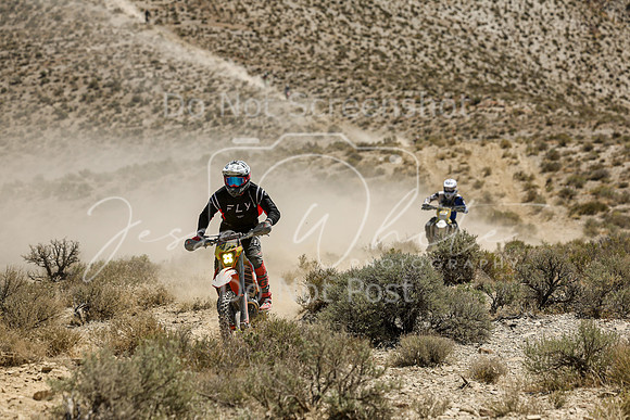 IMG_3479-n497