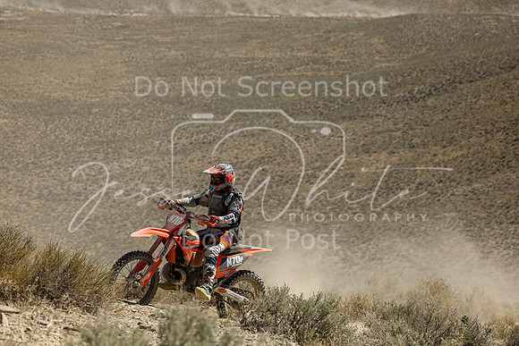IMG_3413-n70p