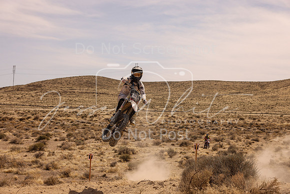 IMG_3741-348n