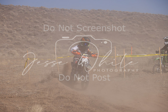 IMG_7165-981y