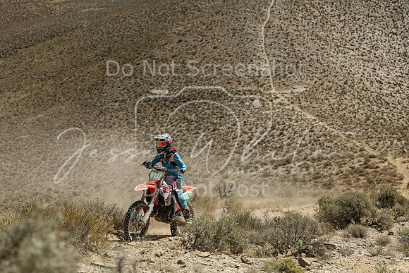 IMG_3808-n14l