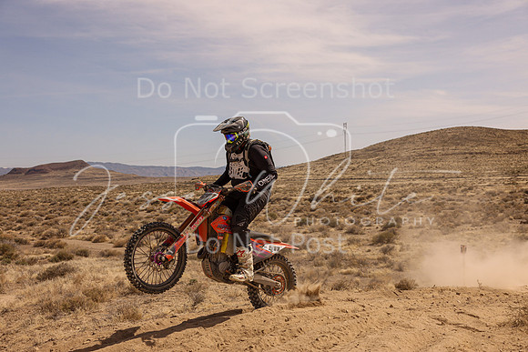 IMG_3762-511t