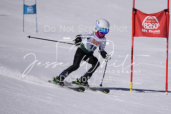 IMG_8294