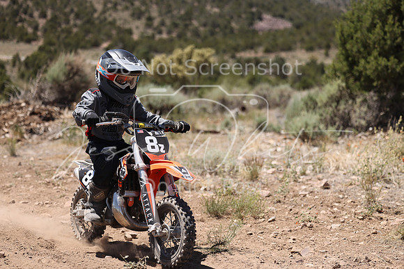 IMG_4251-8z