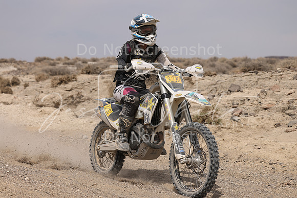 IMG_9544-321v
