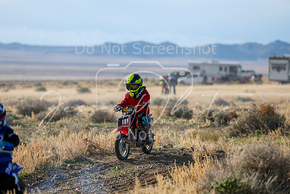IMG_2260-111z