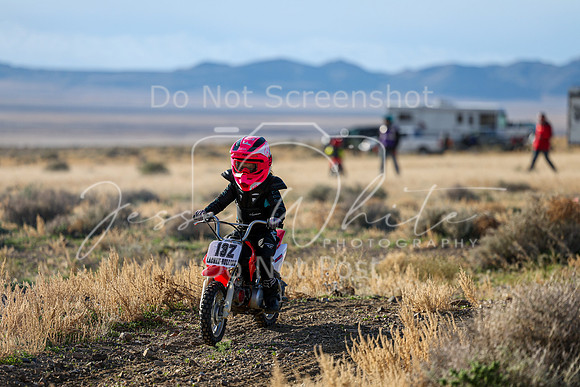 IMG_2268-13z
