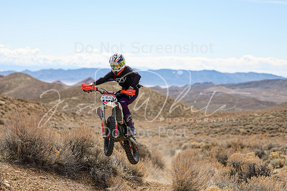 IMG_3433-6a