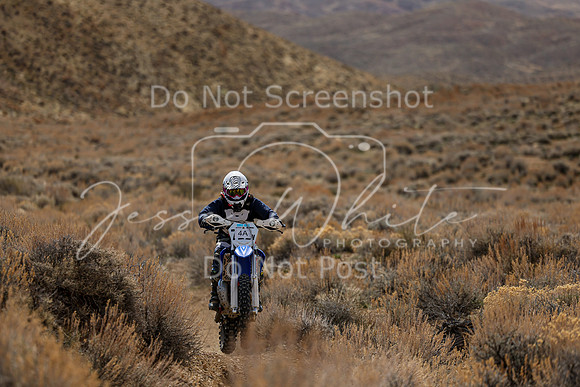 IMG_3444-4a