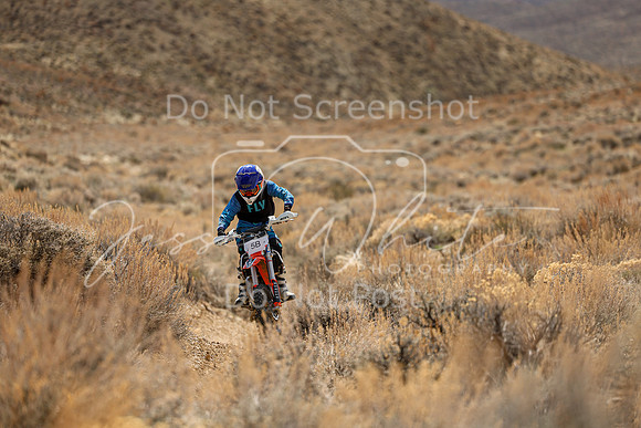 IMG_3514-5b