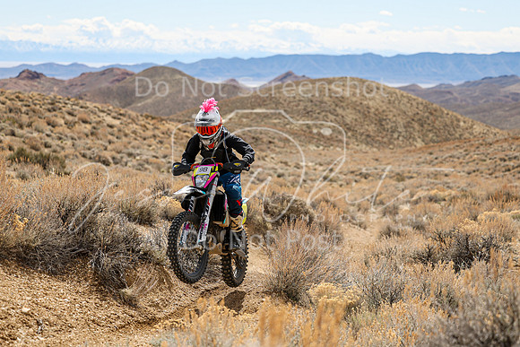 IMG_3538-9b