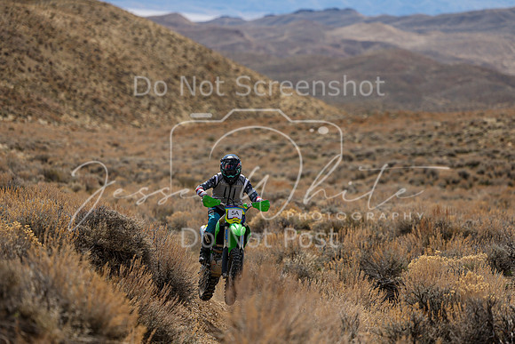 IMG_3452-5a