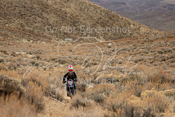 IMG_3532-9b