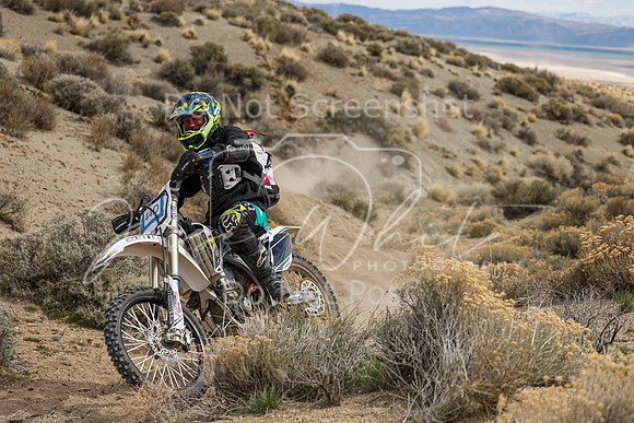 IMG_4281-44d