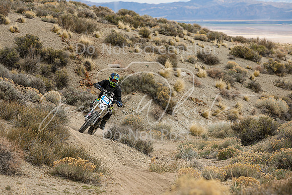 IMG_4275-44d