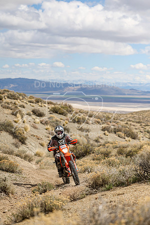 IMG_4331-65d