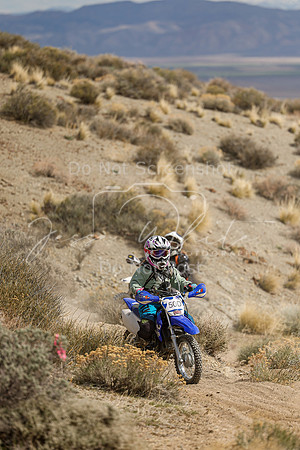 IMG_4395-50d