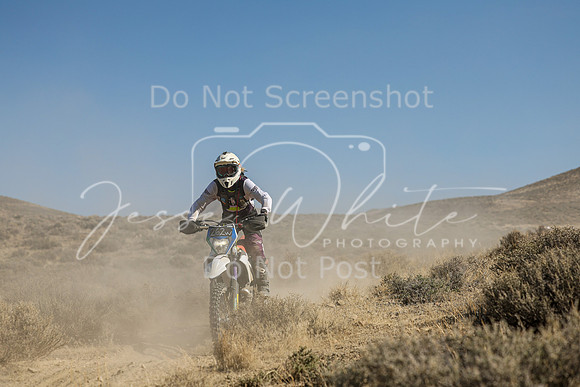 IMG_7749-262w