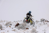 IMG_5003-3aa