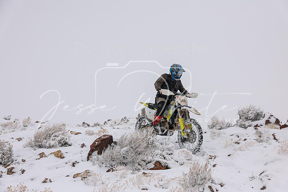 IMG_5003-3aa