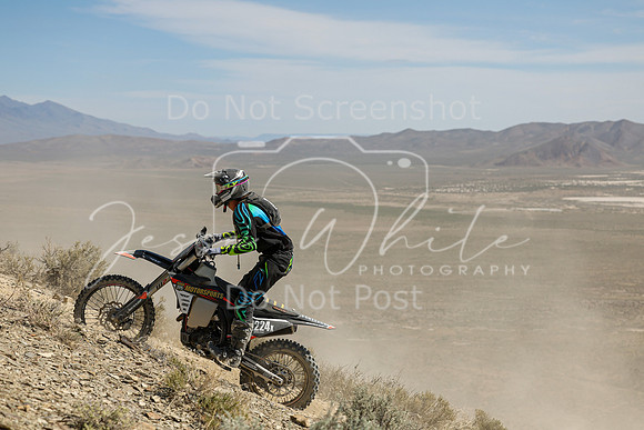 IMG_3331-n224x