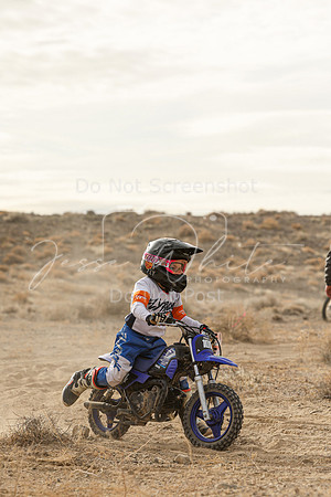 IMG_0036-101z