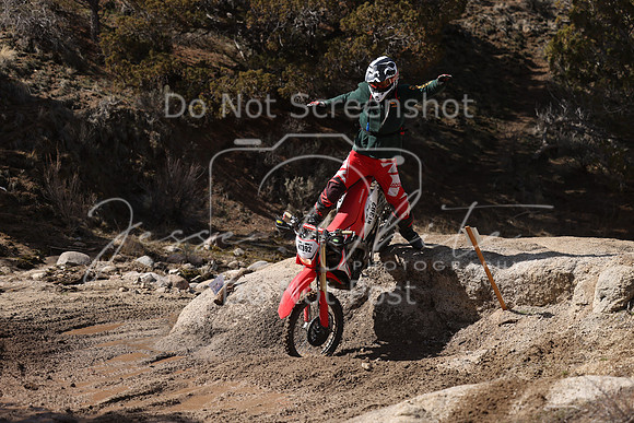 IMG_9696-nt392
