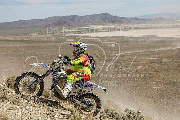 IMG_3547-n17