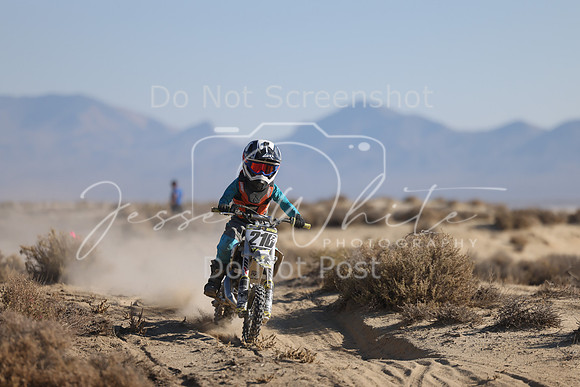 IMG_6509-210z