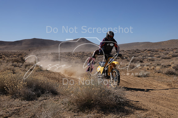IMG_8410-3b